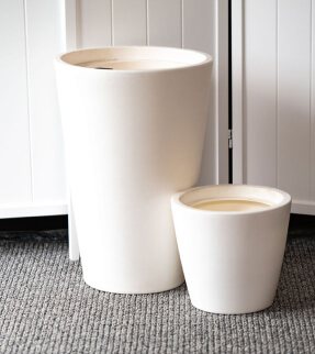Cone plant pot at Evergreen Interiors Indoor Plant Hire and Maintenance