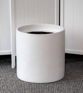 Carindale Cylinder plant pot at Evergreen Interiors Indoor Plant Hire and Maintenance