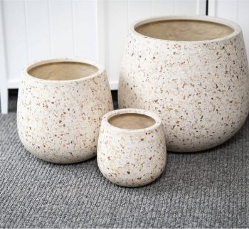 Monza plant pot at Evergreen Interiors Indoor Plant Hire and Maintenance Monza plant pot at Evergreen Interiors Indoor Plant Hire and Maintenance