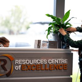 Indoor Plants are Good for Business at Evergreen Interiors Indoor Plant Hire and Maintenance