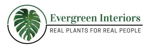Evergreen Interiors