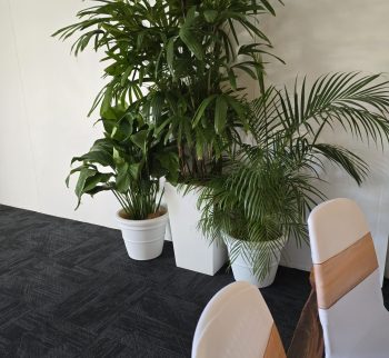 20240223_103021 20240223_103021