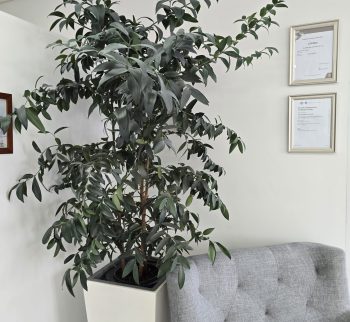 20240430_104607 20240430_104607