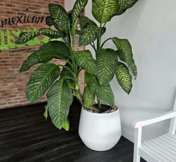 20240430_143315 20240430_143315