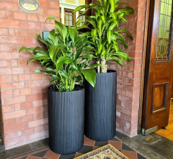 Entrance - First View Entrance - First View