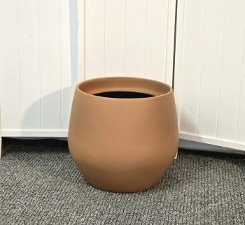 20250226_175806 20250226_175806