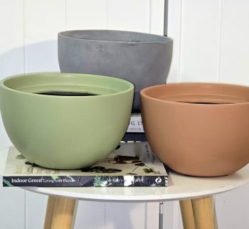 20250226_181719 20250226_181719