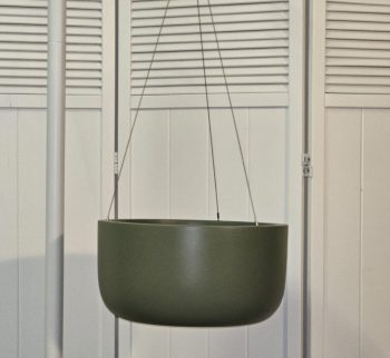 20250226_183741 20250226_183741