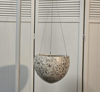 20250226_184608 20250226_184608